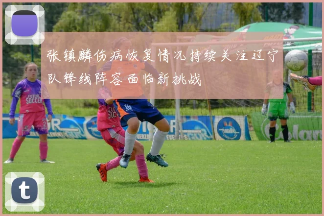 张镇麟伤病恢复情况持续关注辽宁队锋线阵容面临新挑战